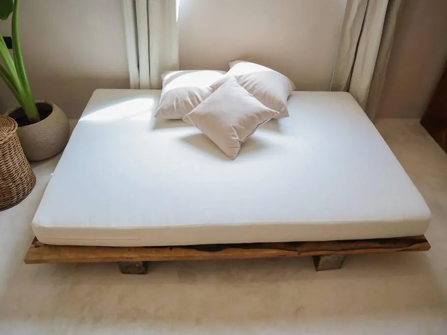 Cozy Tropical Suite For 1-4 Pp In Isla Mujeres Apartment