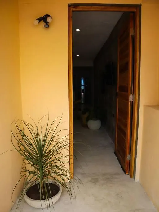 Apartment Cozy Tropical Suite For 1-4 Pp In Isla Mujeres Mexico