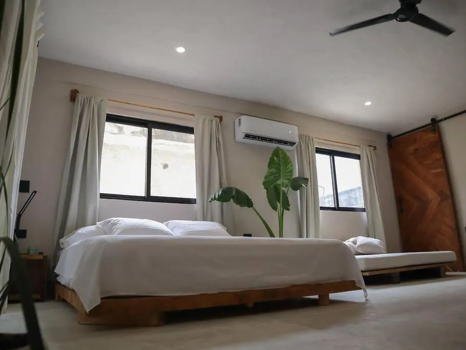 Cozy Tropical Suite For 1-4 Pp In Isla Mujeres